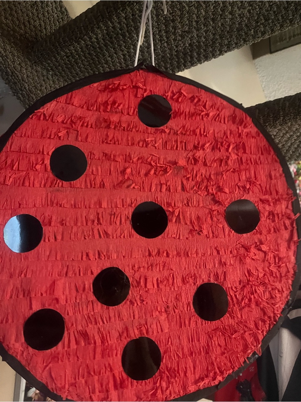 Hand Crafted Red and Black Ladybug Superhero Character Design Party decor - Picture 4 of 5